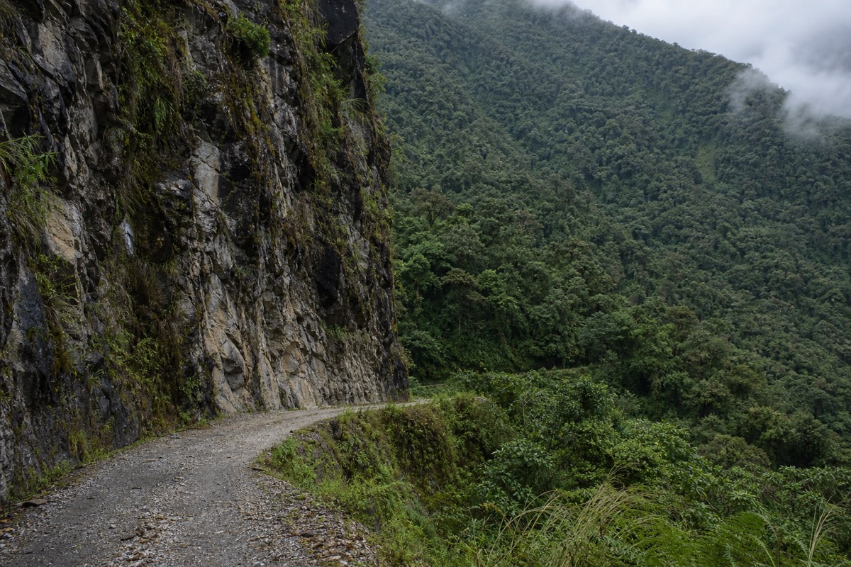 The humid Yungas cloud forest at the bottom of the descent