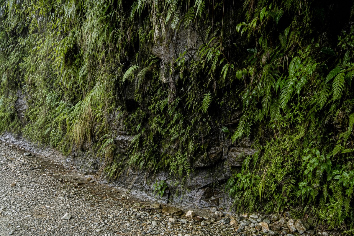 A roadside memorial cross on the Death Road